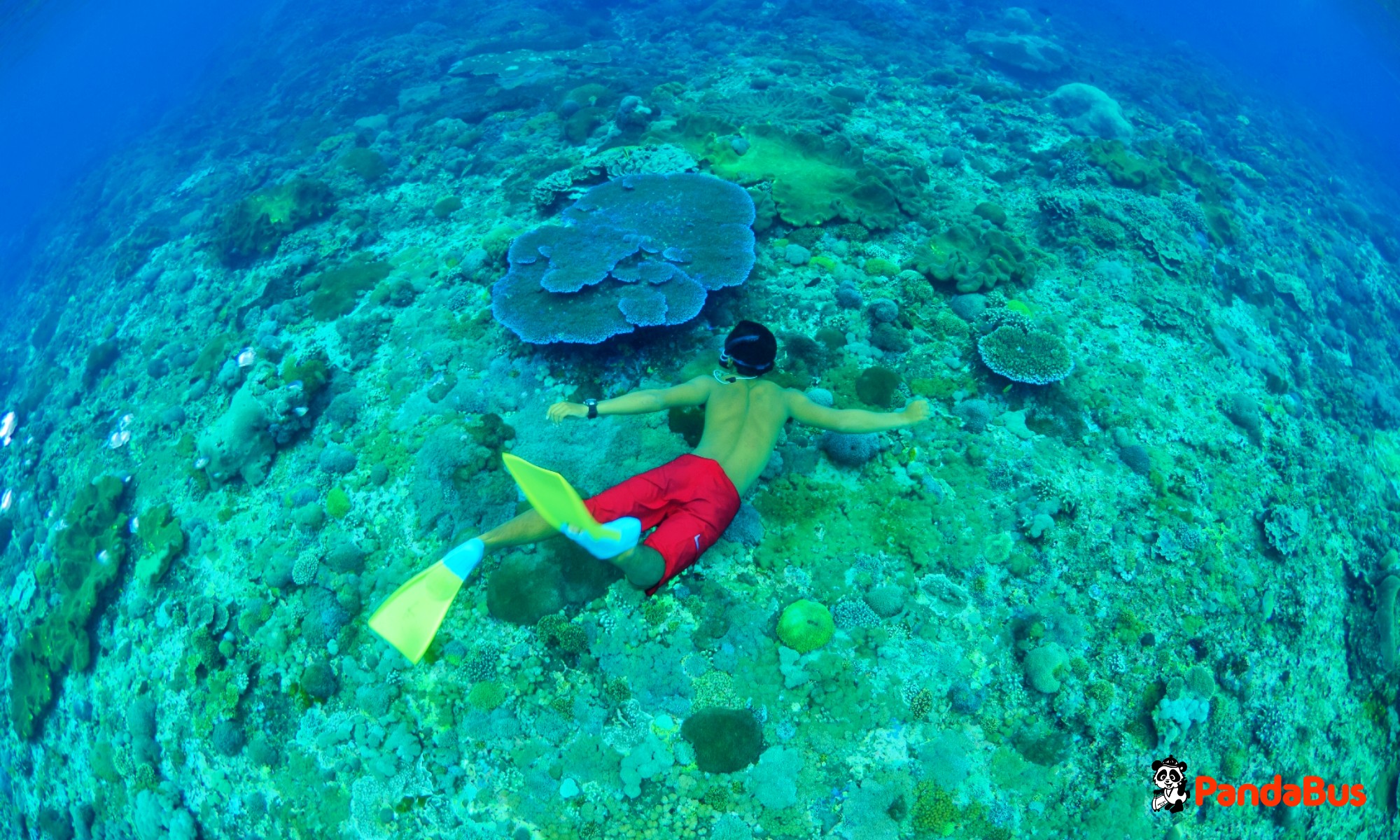 自由行動  (各種アクティビティでお楽しみください)